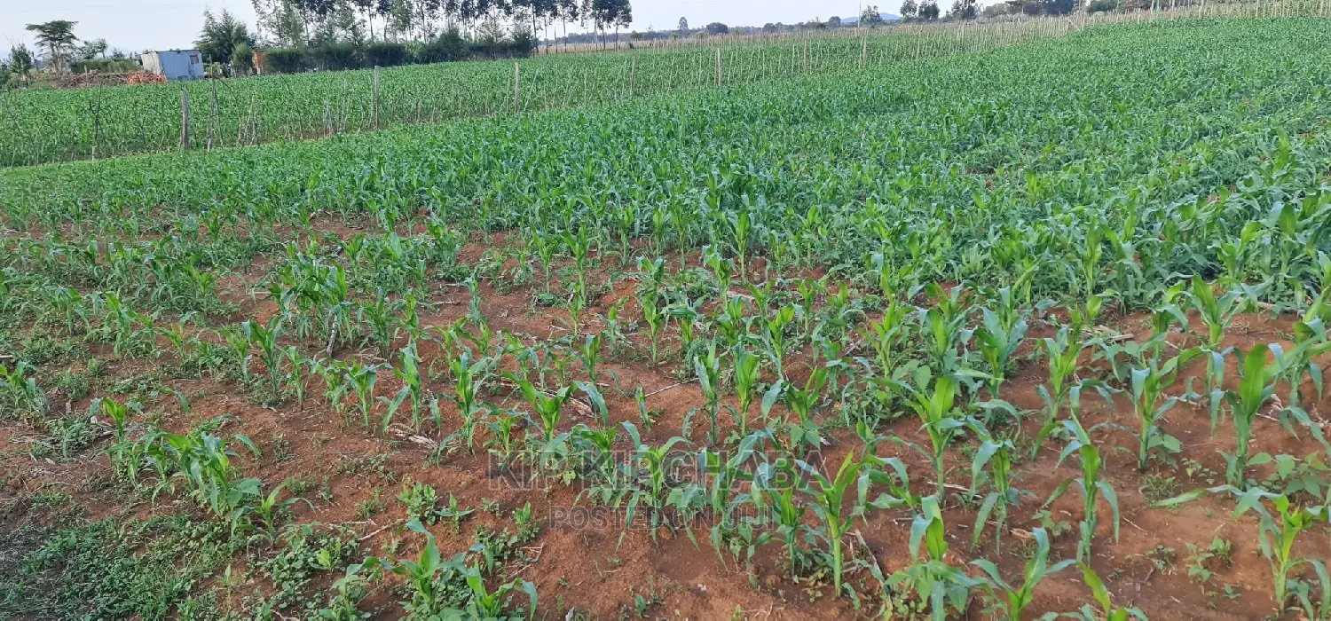 1 Acre Land for Sale in Chepkoilelkapndani in Eldoret