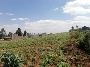 1 Acre Piece of Land for Sale in Limuru Boroti
