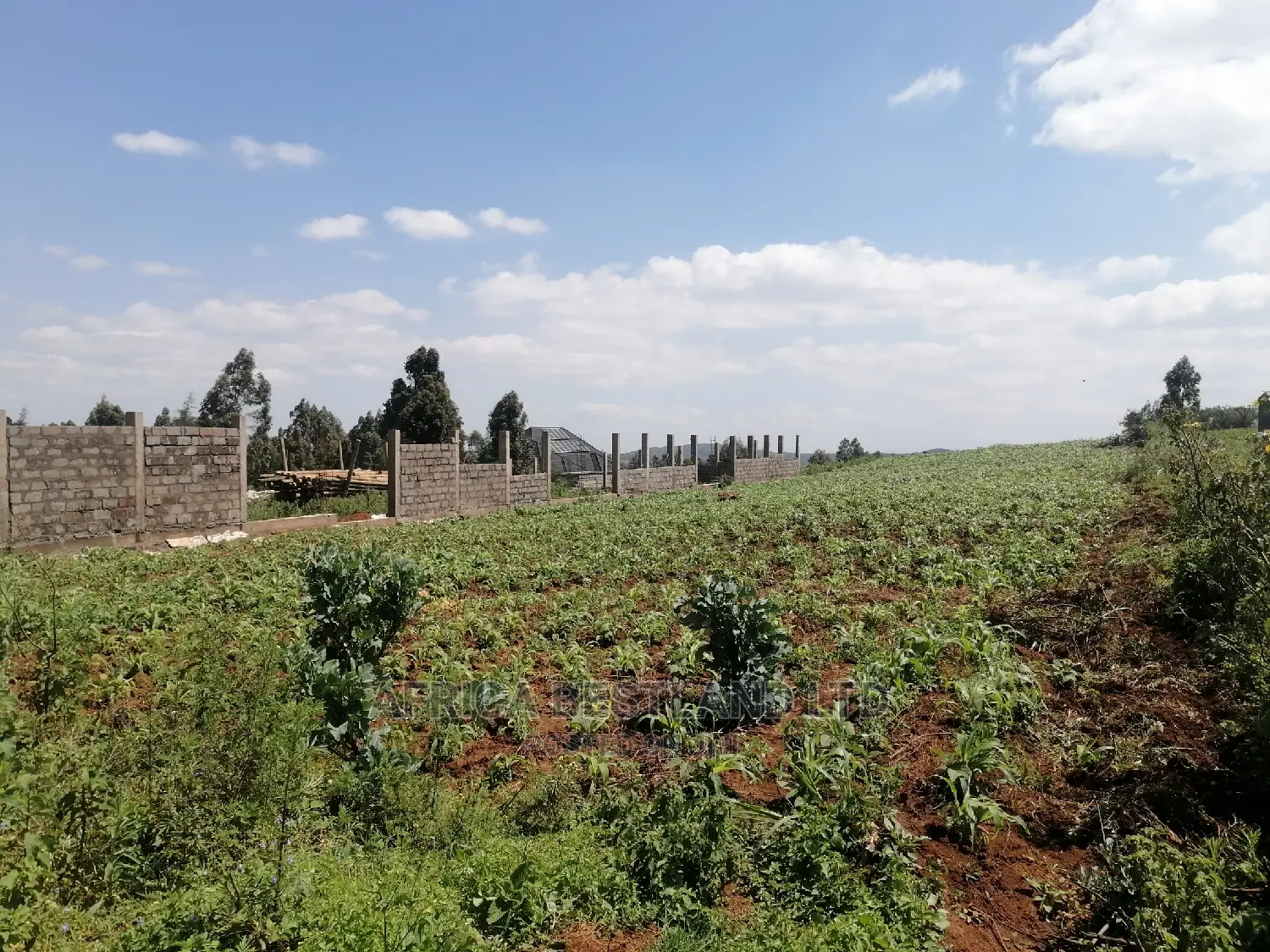 1 Acre Piece of Land for Sale in Limuru Boroti