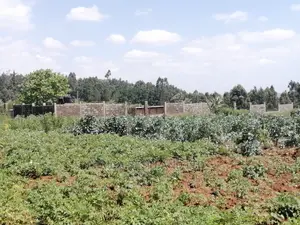 1 Acre Piece of Land for Sale in Limuru Boroti
