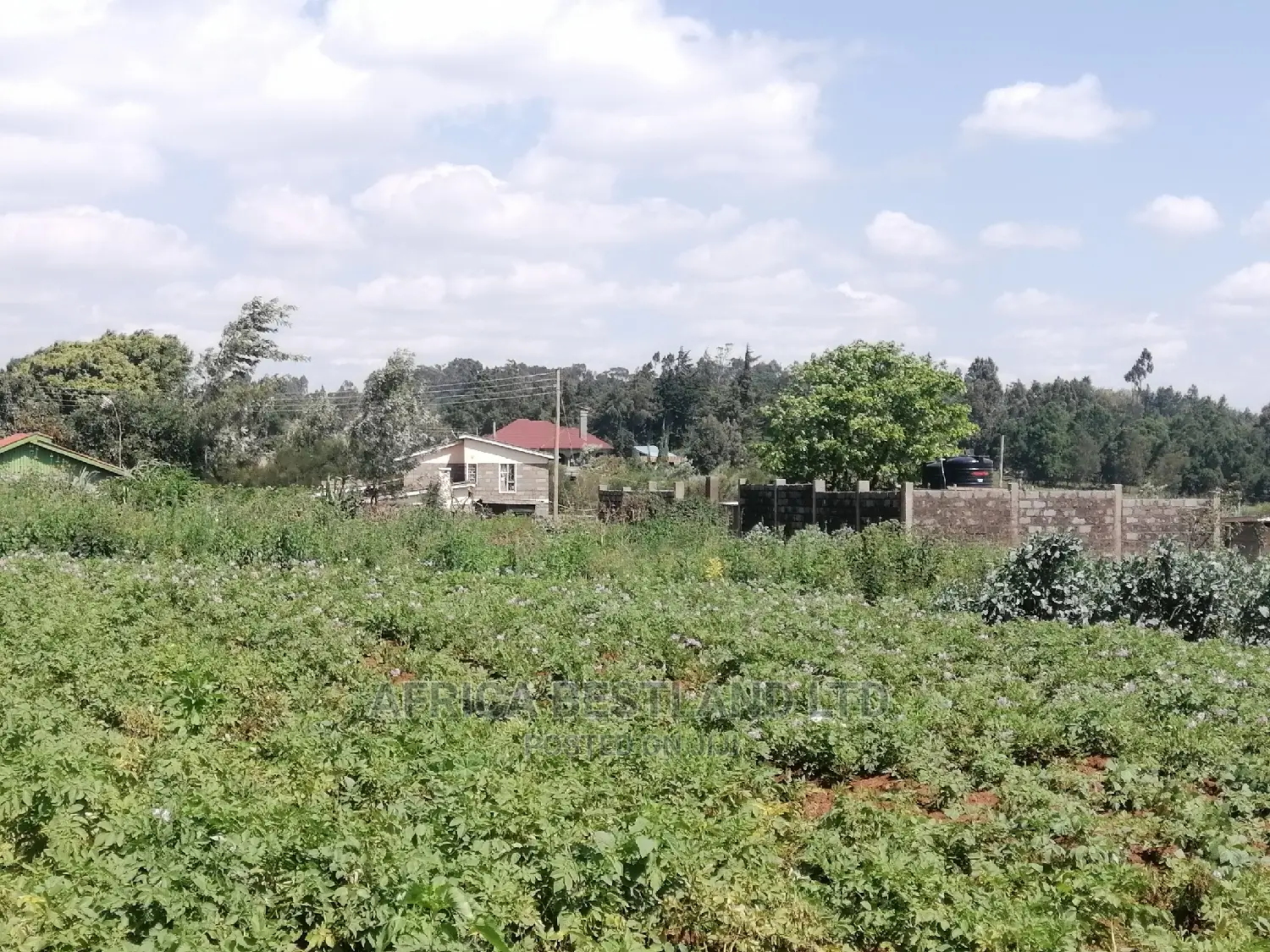1 Acre Piece of Land for Sale in Limuru Boroti