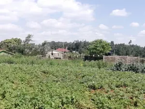 1 Acre Piece of Land for Sale in Limuru Boroti