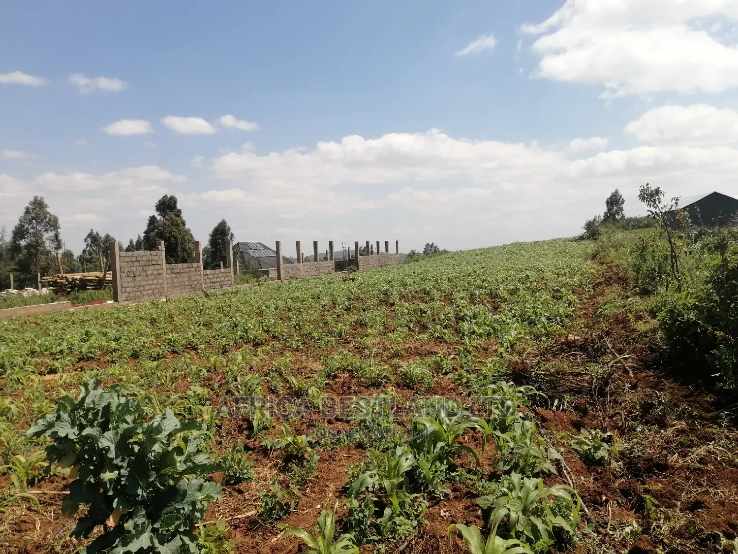 1 Acre Piece of Land for Sale in Limuru Boroti
