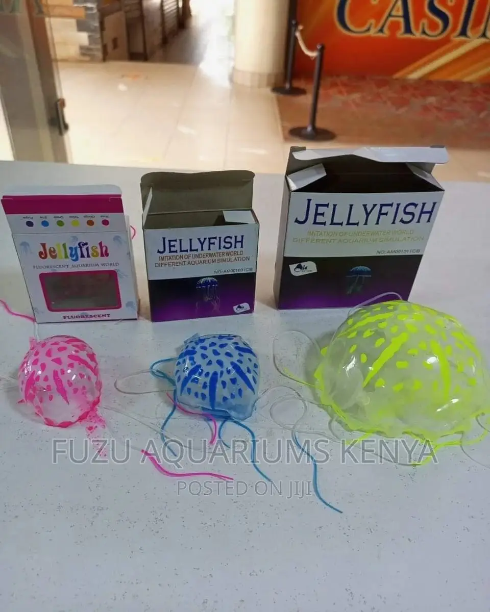 Jelly Fish