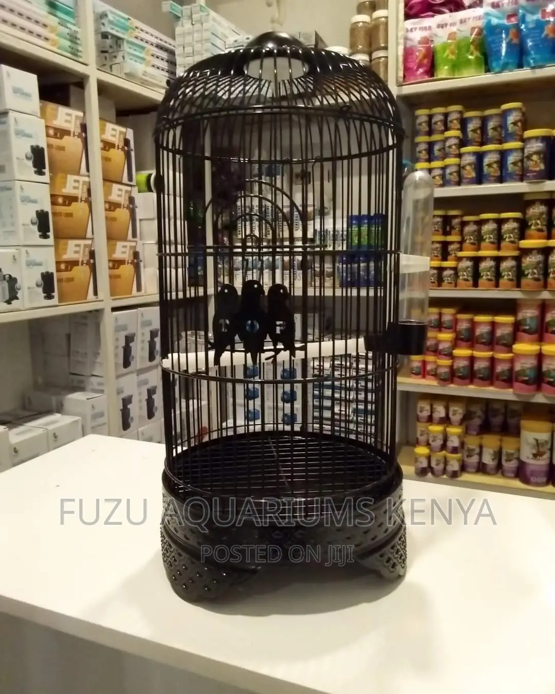 Bird Cage .