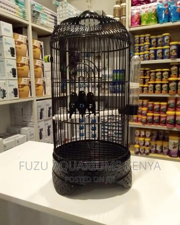 Bird Cage .
