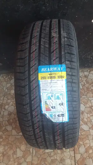 225/45r19 Bearway Tyres Made in China