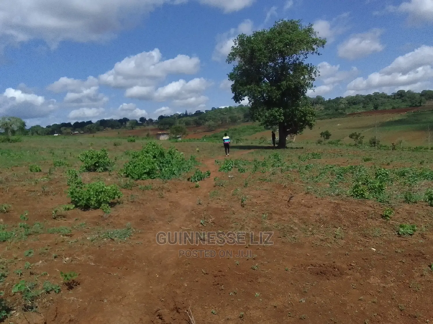 Mavueni Plots for Sell Near Ezekiel Church