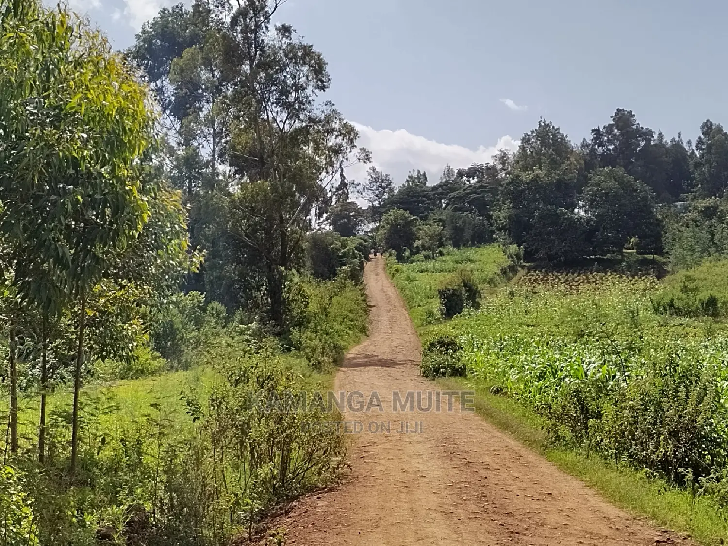New Month Offer. 1acre Land in Mai-Ihii Gikambura.