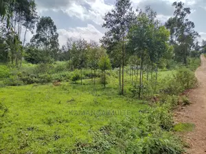 New Month Offer. 1acre Land in Mai-Ihii Gikambura.