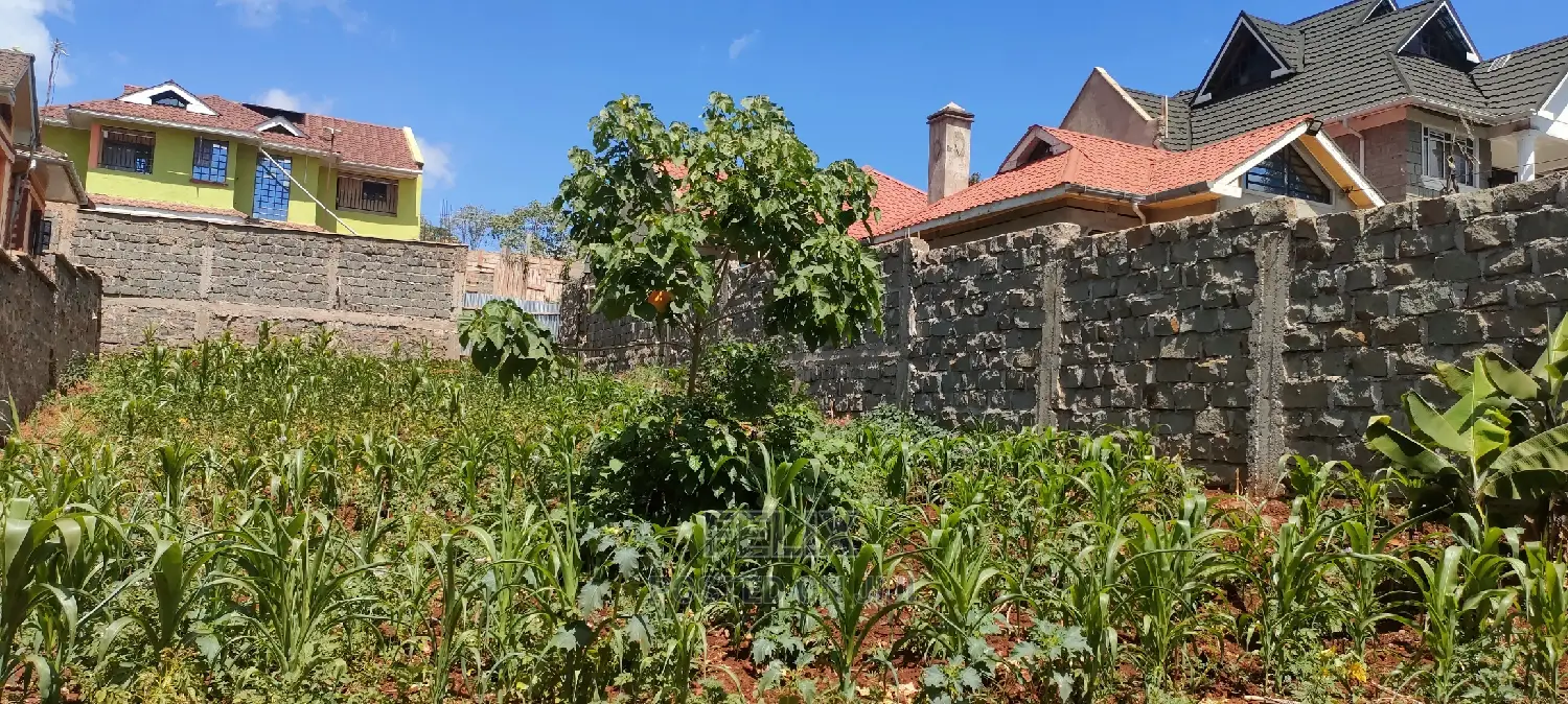 Nyeri/Gatitu Wamburi Drive 50/100
