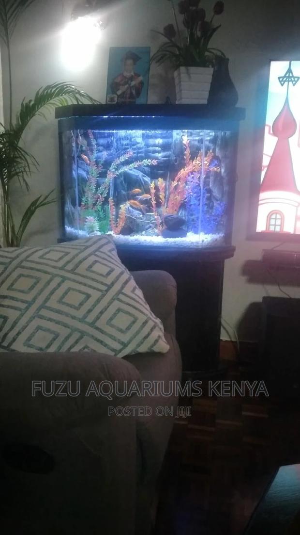 3D Aquarium Background - main view