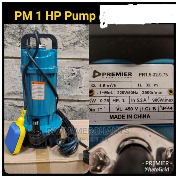 Premier Water Pumps 1hp