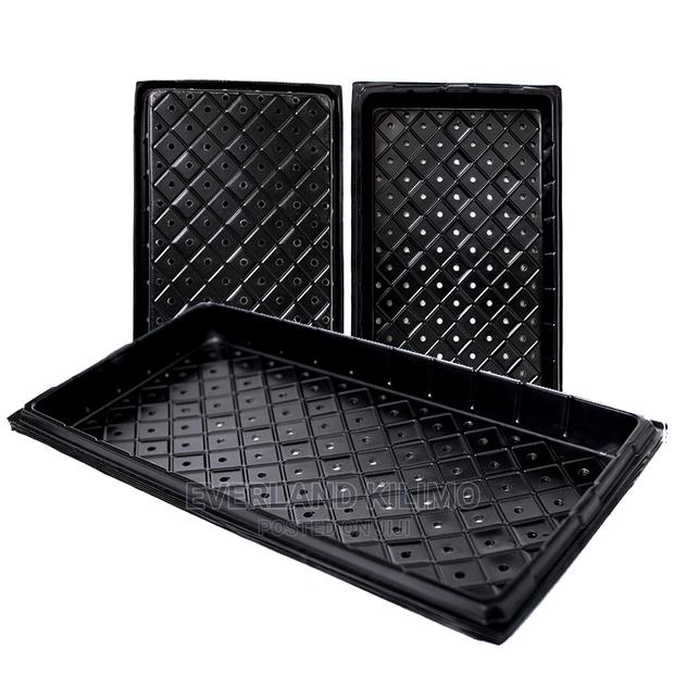 Hydroponics Trays - With Holes