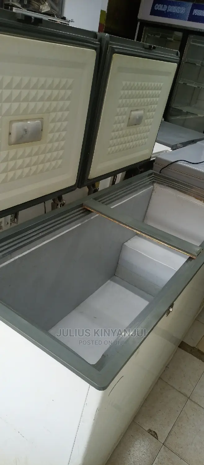 Double Door Freezer