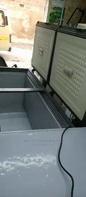Double Door Freezer
