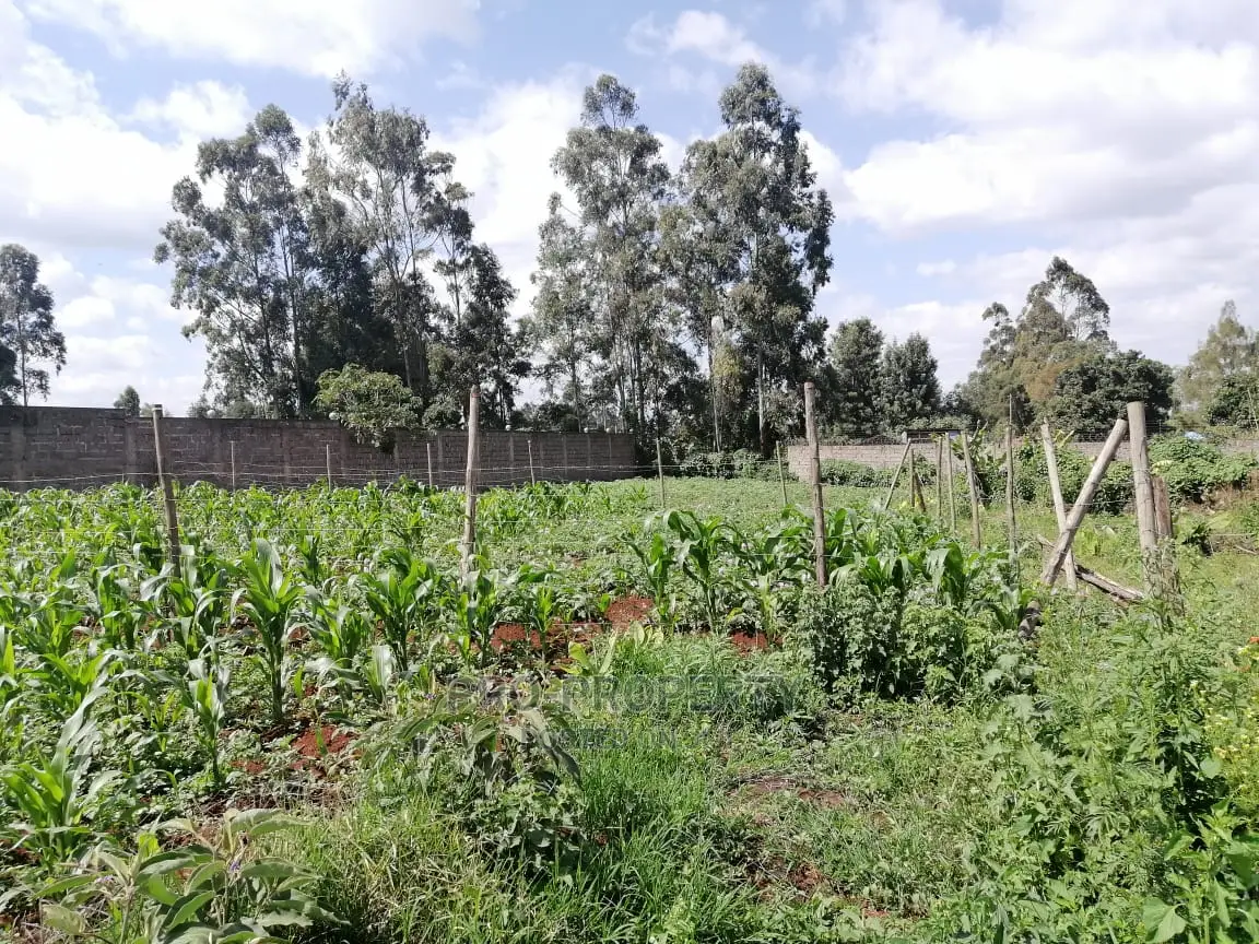 Commercial Plot for Sale in Sigona.