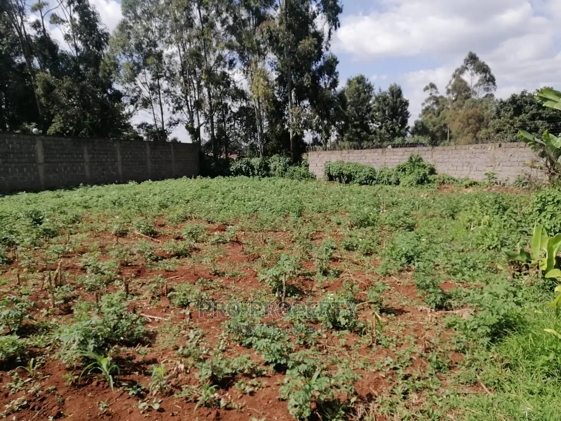 Commercial Plot for Sale in Sigona.