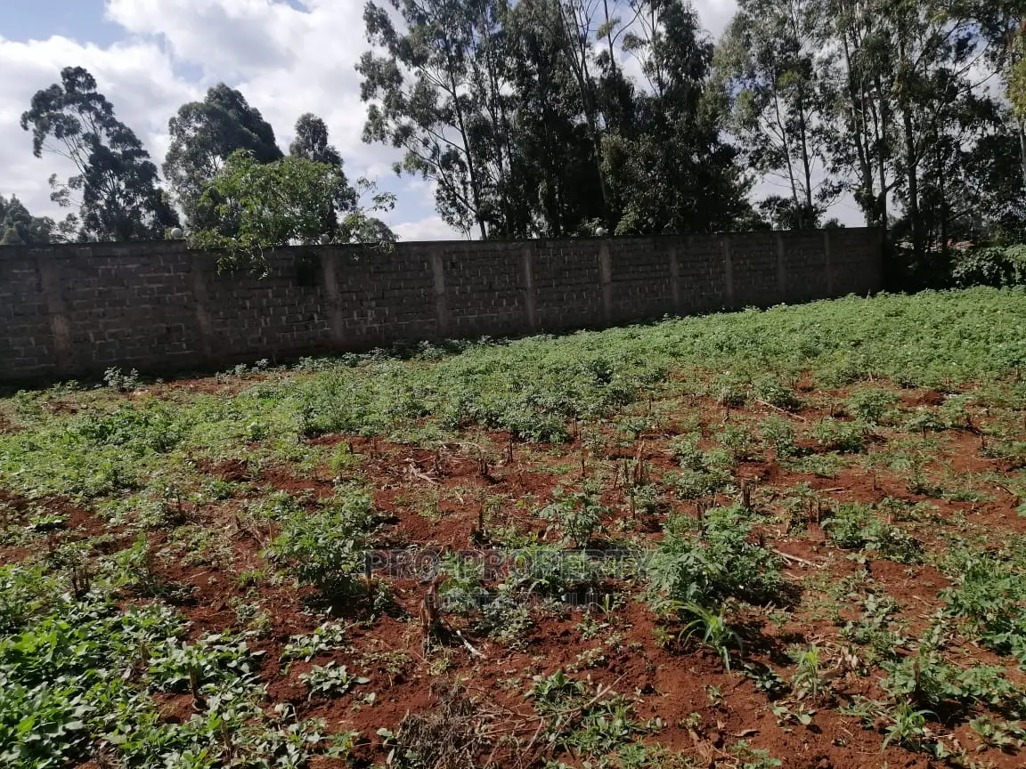 Commercial Plot for Sale in Sigona.