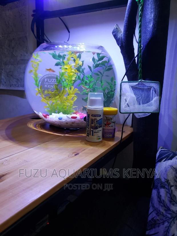 Fishbowls Fish Bowl - main view
