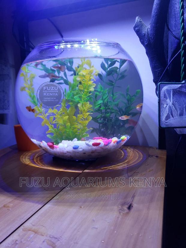 Fishbowls Fish Bowl - thumbnail 3