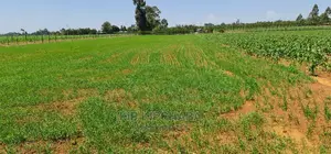 1 Acre Land for Sale in Merewet Ziwa Road in Eldoret