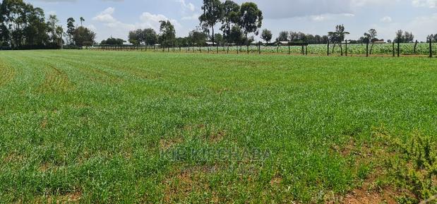 1 Acre Land for Sale in Merewet Ziwa Road in Eldoret