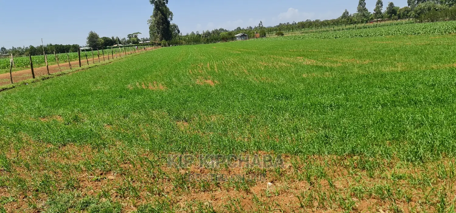 1 Acre Land for Sale in Merewet Ziwa Road in Eldoret