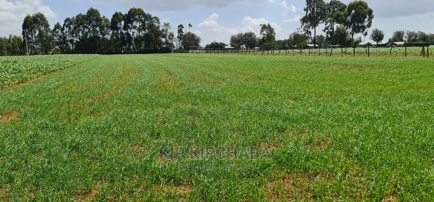 1 Acre Land for Sale in Merewet Ziwa Road in Eldoret