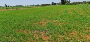 1 Acre Land for Sale in Merewet Ziwa Road in Eldoret