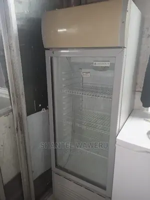 Ex Uk Display Fridge