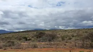 Bisil 247acres With 2.8km Namanga-Nairobi Road Frontage