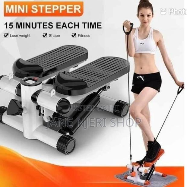 Ministepper Machine
