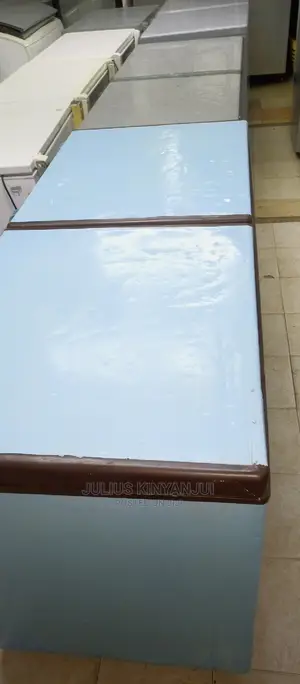 Double Door Freezer