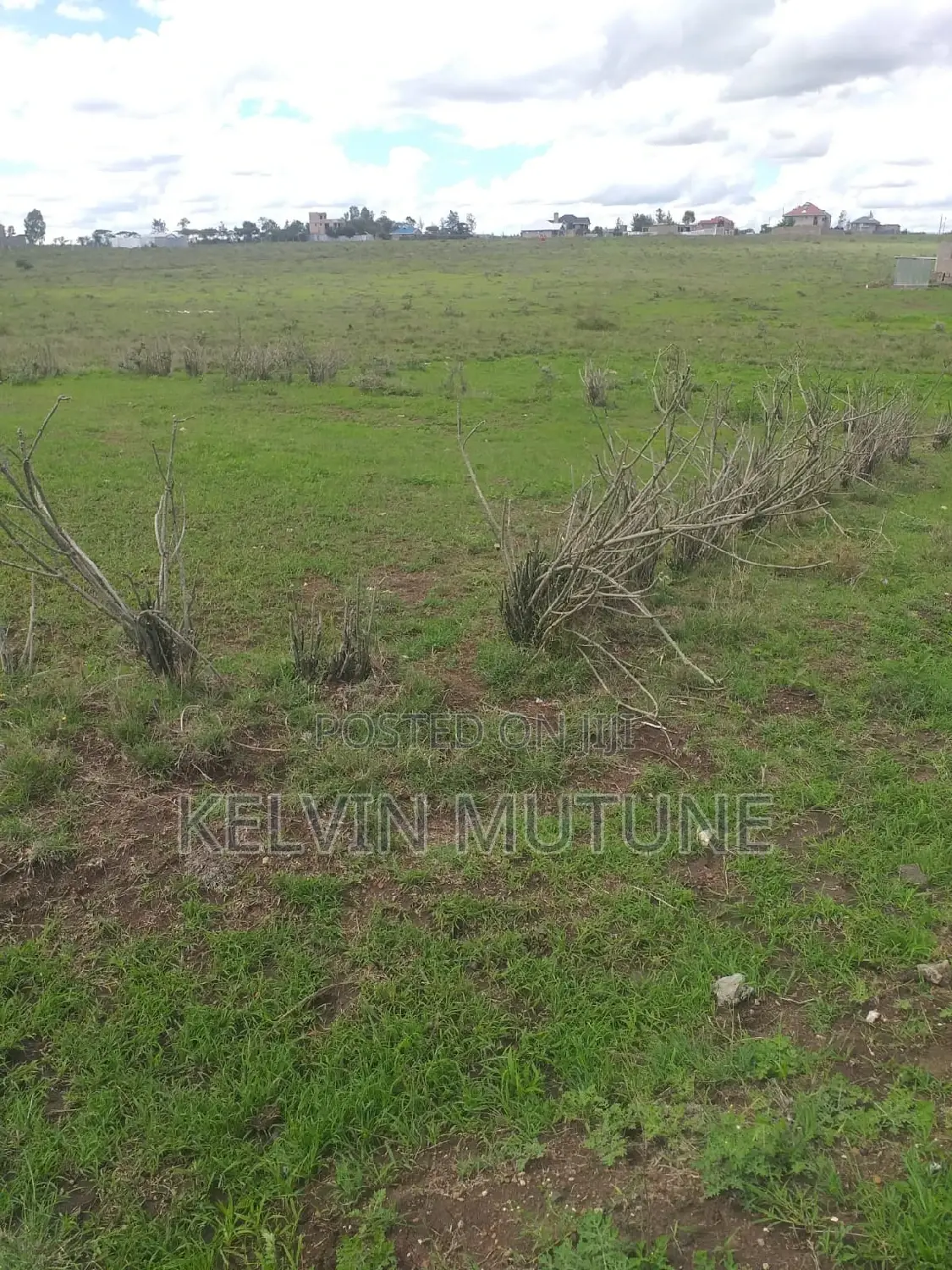Plot For Sale