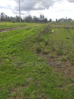 Plot For Sale
