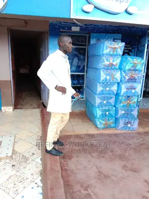 Complete Borehole Water Treatment Plant (Free Installation)