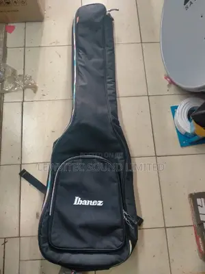 Heavy Padded Carrier