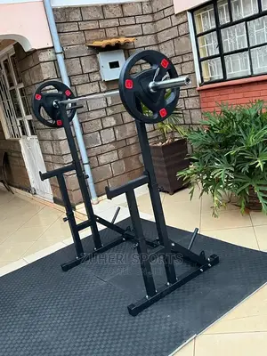 Squat Rack With Plate Rack and Dip Station