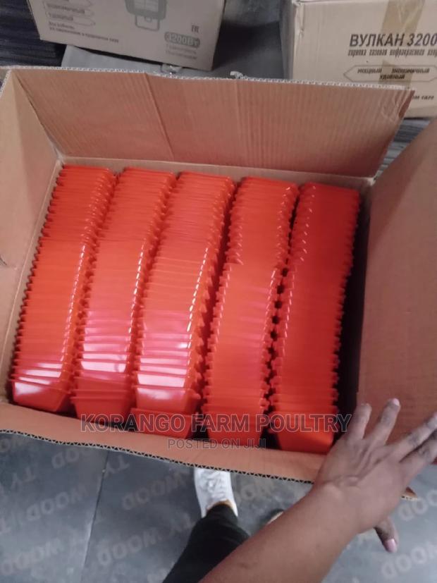 Feeders Chicks - thumbnail 3