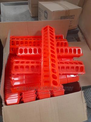 Feeders Chicks - thumbnail 2