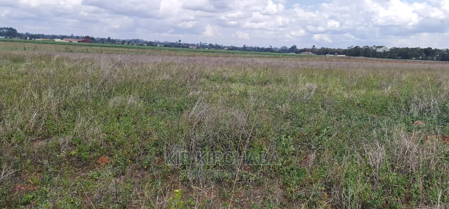 1 Acre Land for Sale in Sergoit Moiben in Eldoret