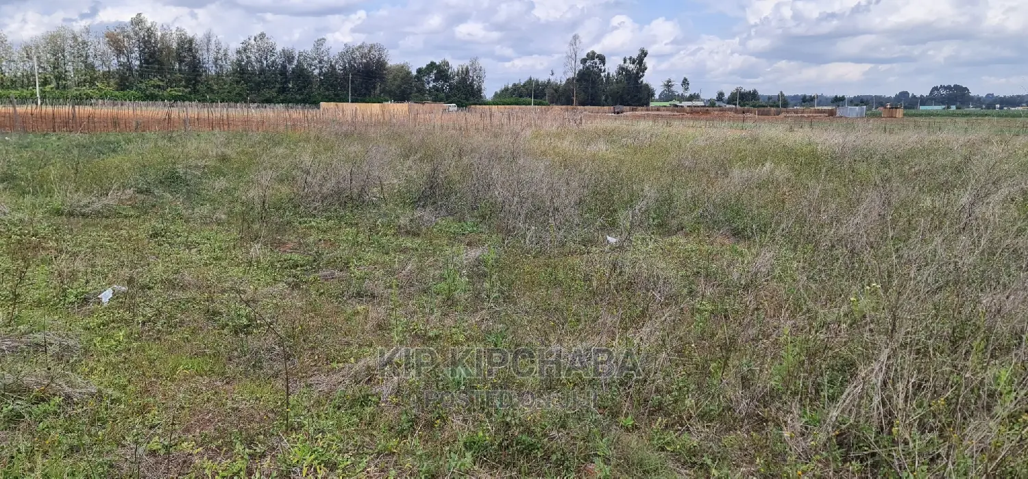 1 Acre Land for Sale in Sergoit Moiben in Eldoret