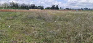 1 Acre Land for Sale in Sergoit Moiben in Eldoret