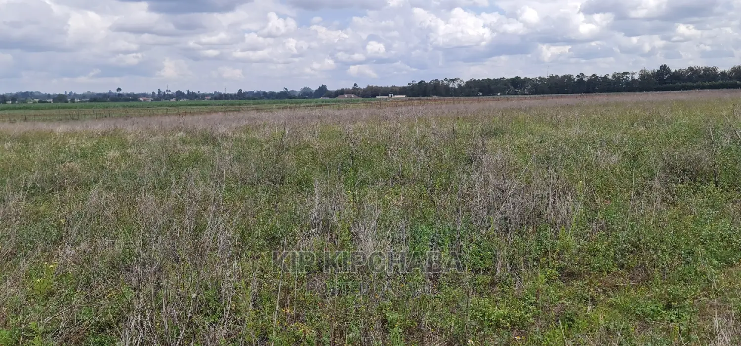 1 Acre Land for Sale in Sergoit Moiben in Eldoret