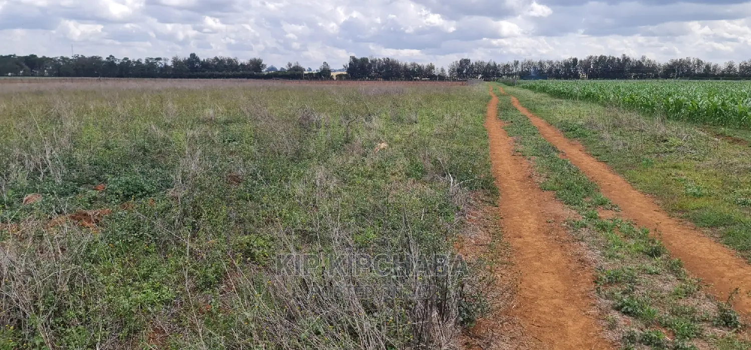 1 Acre Land for Sale in Sergoit Moiben in Eldoret