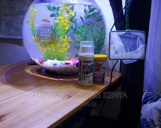 Fish Bowl Aquarium - main view