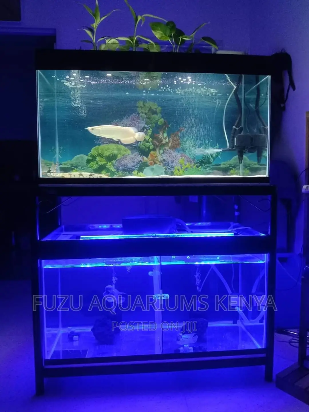 Aquarium Light