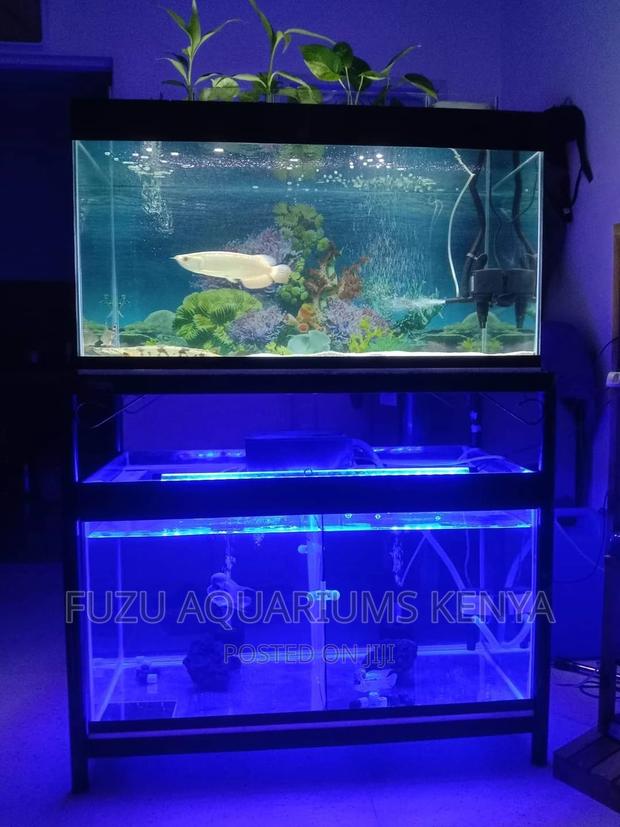 Aquarium Light - main view