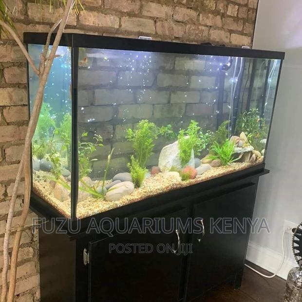 Aquarium Great Height - main view